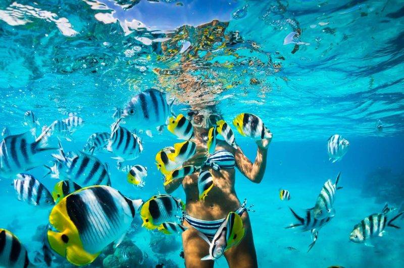 Catalina Island Tour Punta Cana – Snorkeling & Beach Day - Image 13