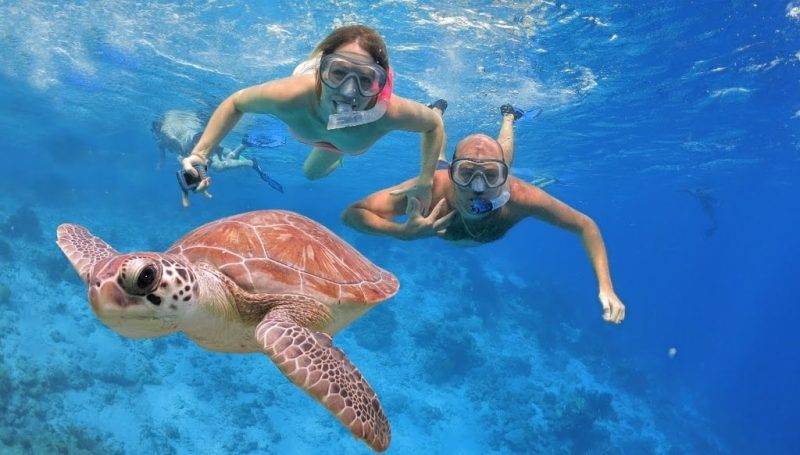 Catalina Island Tour Punta Cana – Snorkeling & Beach Day - Image 16
